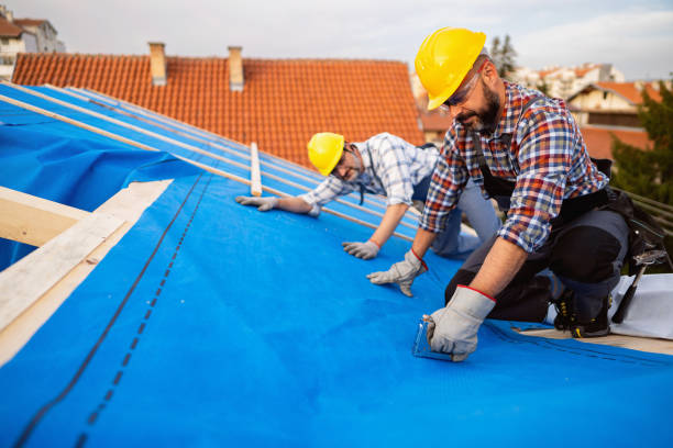 Best New Roof Installation  in Parsons, TN